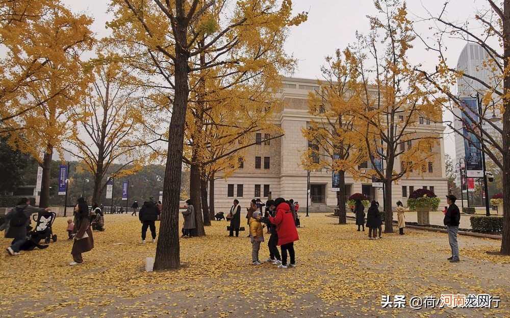 上海必逛免费景点推荐 上海哪里好玩的景点排名