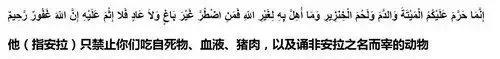 穆斯林为什么不吃猪肉 伊斯兰教为什么不吃猪肉