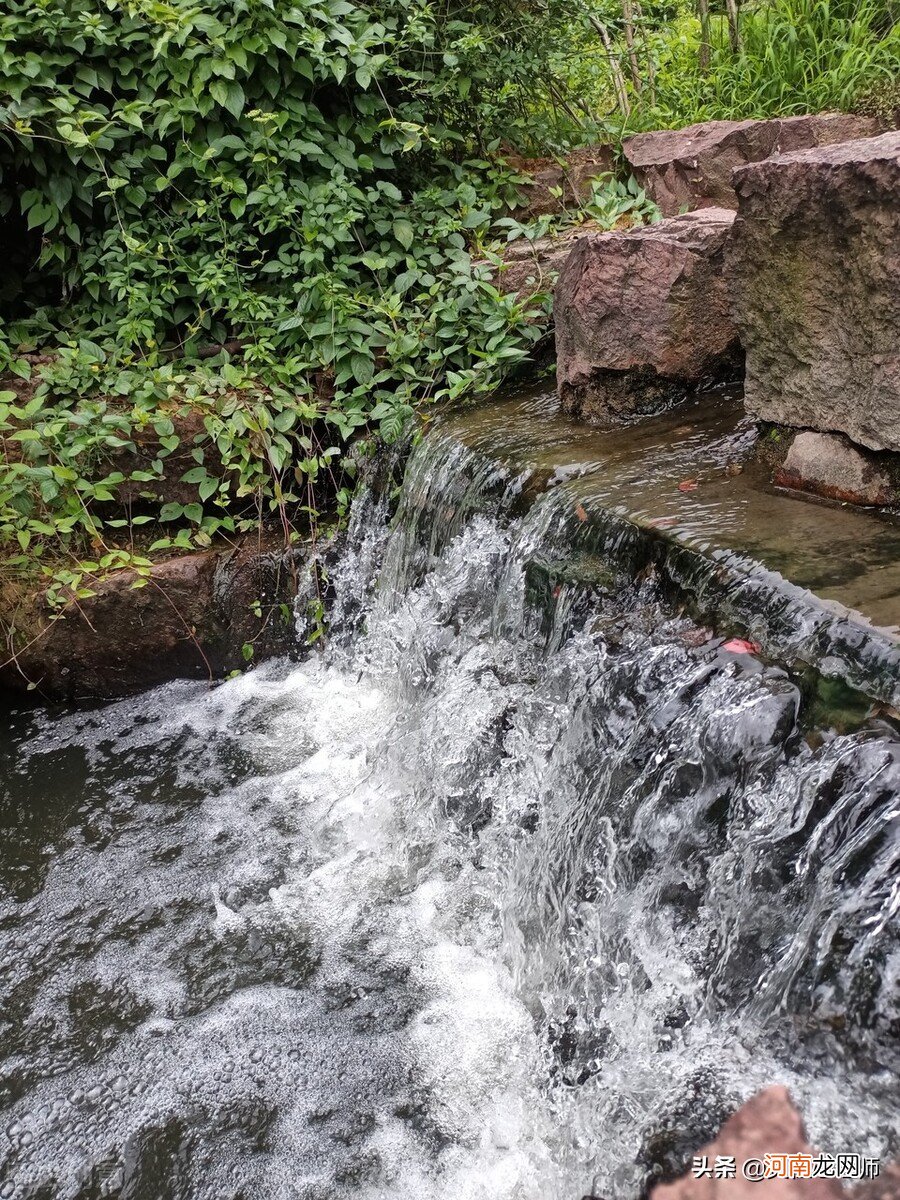 日本水实验感悟 水知道答案读后感