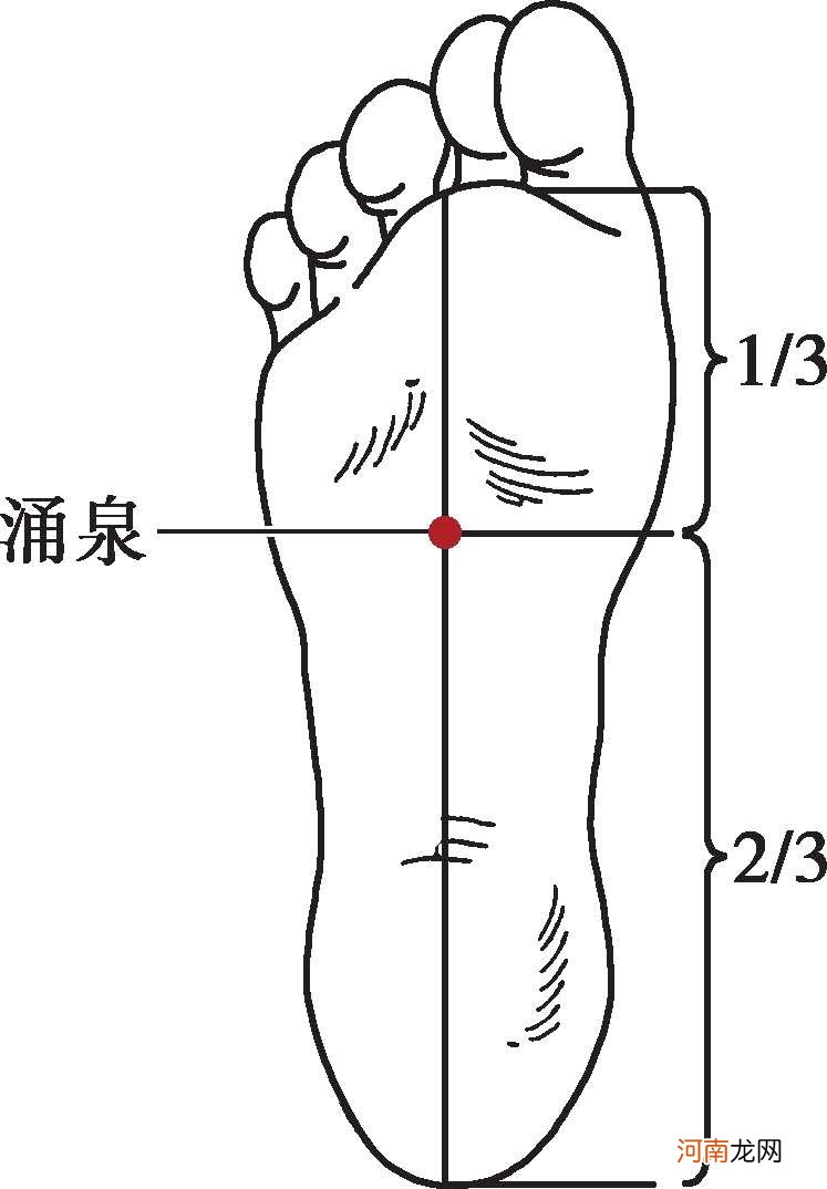 涌泉准确位置图片和作用 找涌泉正确的方法