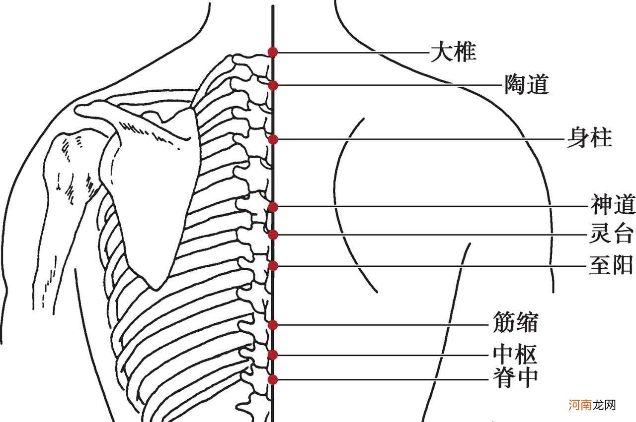 涌泉准确位置图片和作用 找涌泉正确的方法