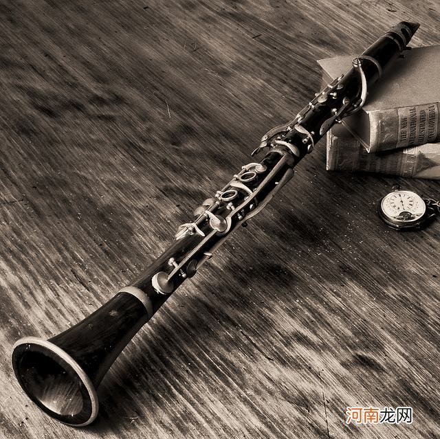 单簧管介绍及指法表 单簧管是什么乐器图片