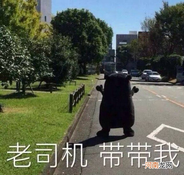 女生说男生老司机啥意思 老司机是什么意思网络语言