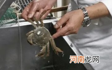 煮螃蟹多长时间 大闸蟹要煮多久
