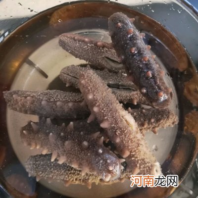 干海参怎么吃家常做法 海参的家常做法大全