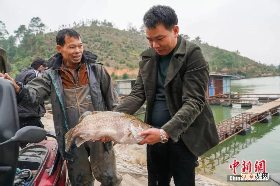 生鱼片一般都是什么鱼 鲤鱼生鱼片