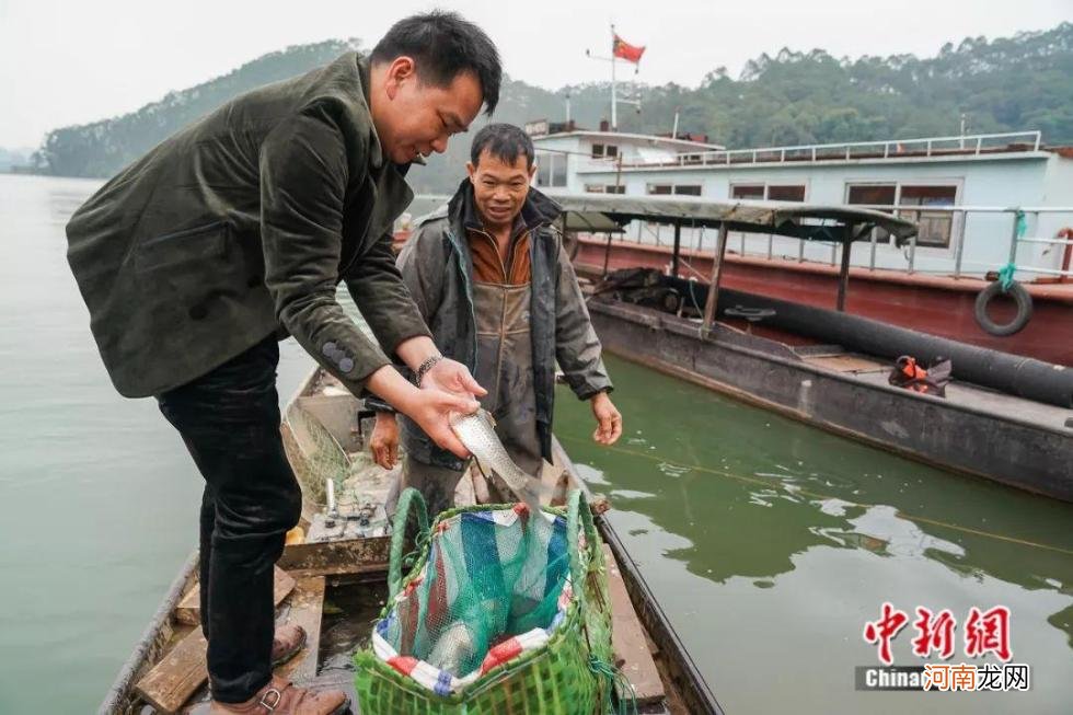 生鱼片一般都是什么鱼 鲤鱼生鱼片