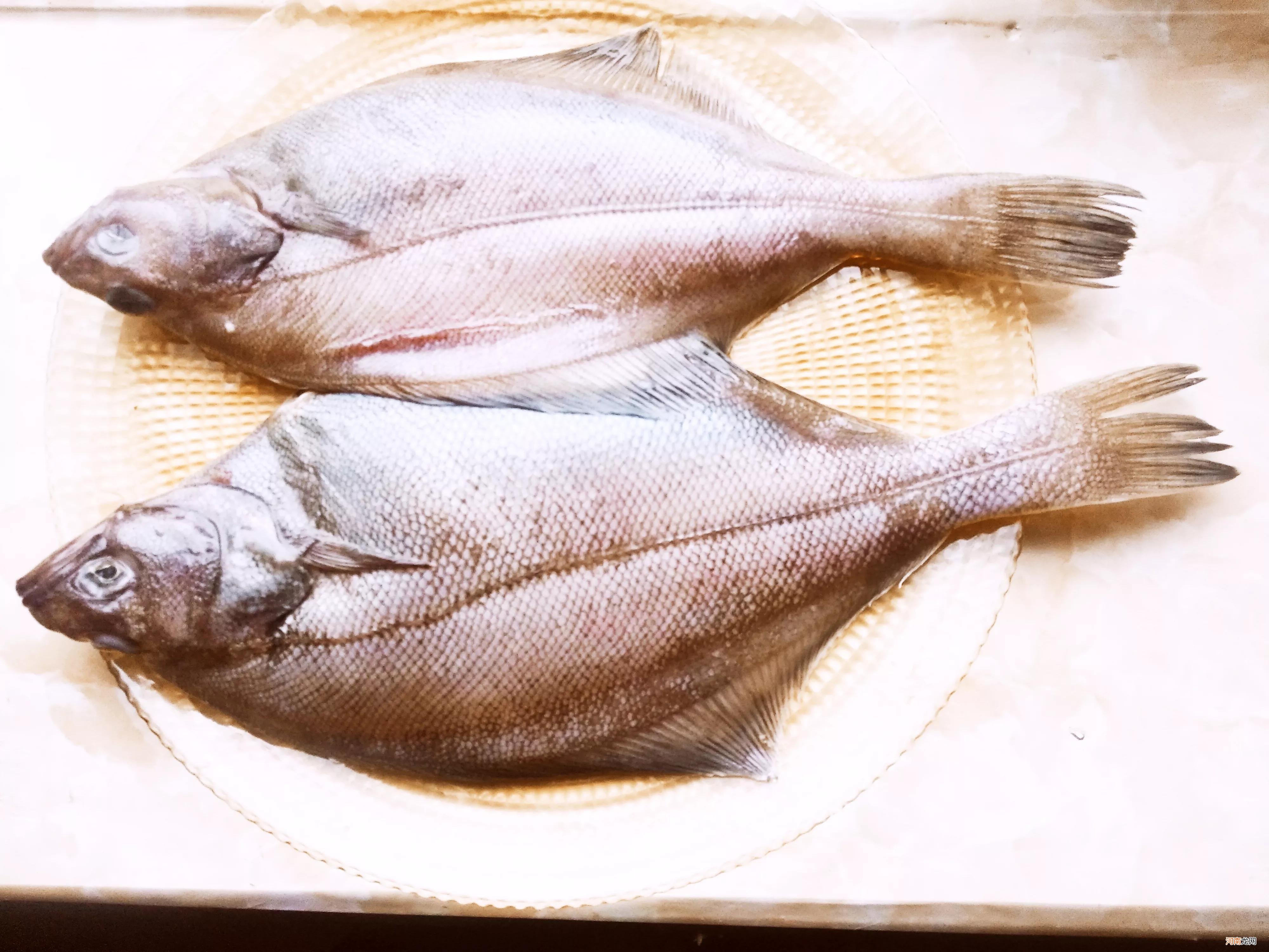 10种便宜又好吃的海鱼 十大最好吃的海鱼