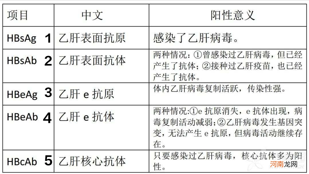 什么是大三阳小三阳 乙肝疫苗已被证实终身免疫