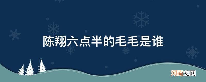 陈翔六点半演员表 陈翔六点半的毛毛是谁