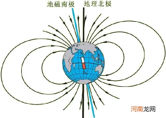 螃蟹为什么横着走秒懂 螃蟹为何横着走不能直着走