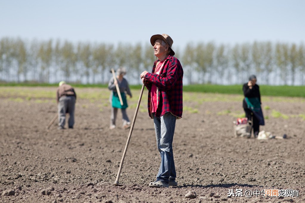 销声匿迹是什么意思 兀兀穷年是什么意思