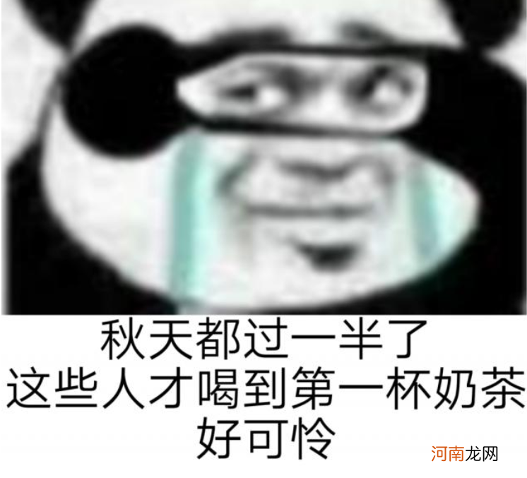 我和小伙伴惊呆了 我和我的小伙伴们都惊呆了QQ