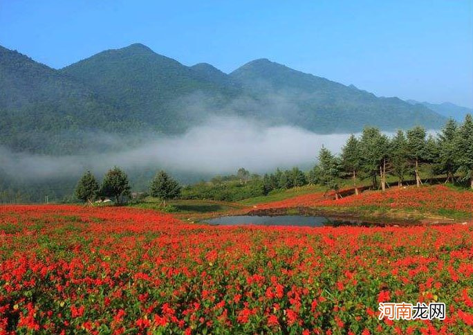 床车自驾游最新游记 红池坝房车好听吗