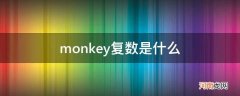 monkey复数是什么怎么写 monkey复数是什么