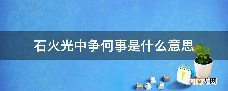 石火光中争长短 石火光中争何事是什么意思