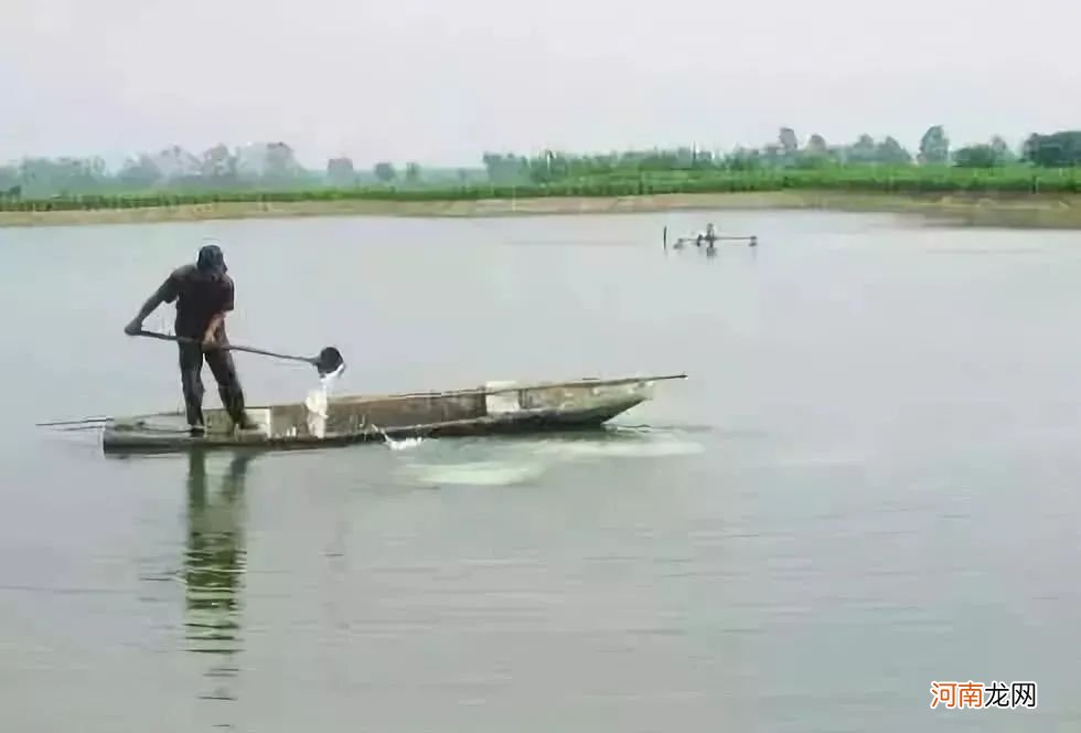 硫酸铜的作用与功效有哪些 硫酸钠的作用与用途