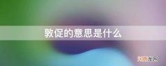 敦促的意思是什么?敦促;意为何? 敦促的意思是什么