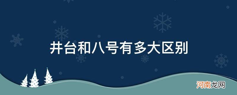 井台和八号哪个贵 井台和八号有多大区别