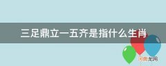 三足鼎立二五齐是什么生肖 三足鼎立一五齐是指什么生肖