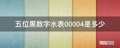 五位黑数字水表00004是多少钱 五位黑数字水表00004是多少