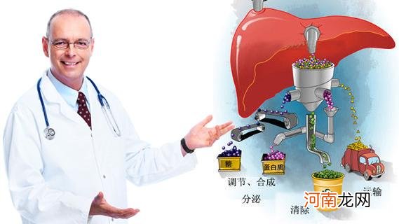 天门冬氨酸氨基转移酶偏低 天门冬氨酸转氨酶53