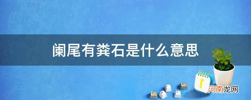 阑尾有粪石是什么意思? 阑尾有粪石是什么意思