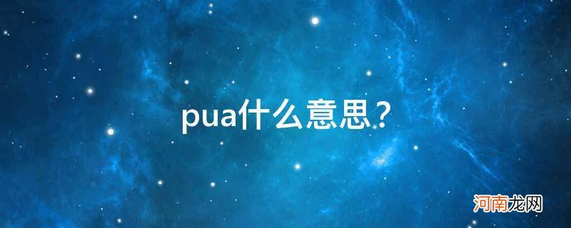 pua什么意思？