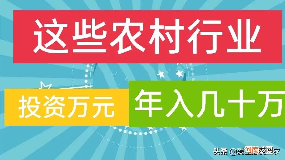 小型工厂加工 农村办厂暴利项目