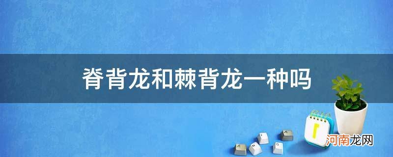 棘背龙和棘龙一样吗 脊背龙和棘背龙一种吗