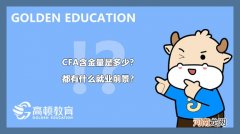 注册金融分析师CFA 中国cfa真实年薪是多少