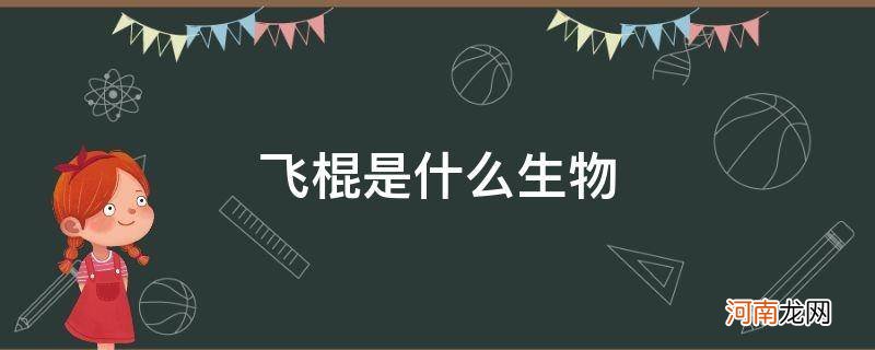 十大神秘生物飞棍 飞棍是什么生物