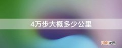 微信运动4万步大概多少公里 4万步大概多少公里