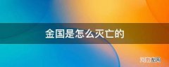 金国是怎样灭亡的 金国是怎么灭亡的