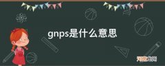 gnps是什么意思的缩写 gnps是什么意思