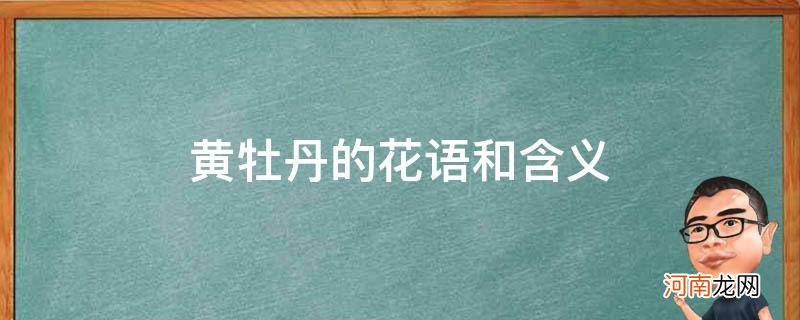 黄牡丹的花语是什么 黄牡丹的花语和含义