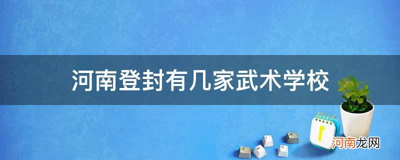 河南登封有多少家武校 河南登封有几家武术学校