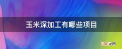 玉米的深加工有哪些好项目 玉米深加工有哪些项目