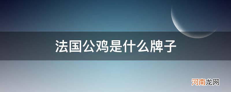 乐卡克法国公鸡是什么牌子 法国公鸡是什么牌子