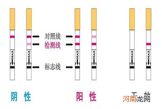 早早孕试纸的准确率据说从50%-98% 你怎么看？