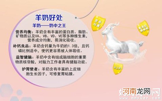 孕妇可以吃羊奶粉吗 ?孕妇喝羊奶和牛奶的注意事项