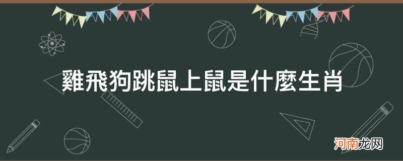 鸡飞狗跳跑又躲是什么生肖 鸡飞狗跳鼠上鼠是什么生肖