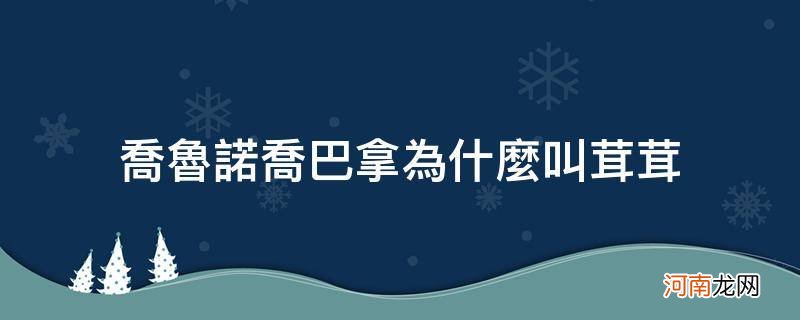 乔鲁诺乔巴拿为什么叫茸茸动漫 乔鲁诺乔巴拿为什么叫茸茸