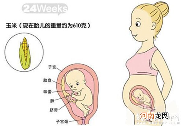 六个月的胎儿图什么样 五张胎儿图来解读