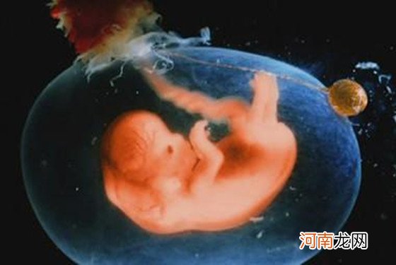 怀孕三个月的胎儿长什么样 4张图让你一目了然