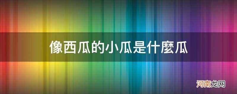 像西瓜的小瓜是什么瓜图片 像西瓜的小瓜是什么瓜