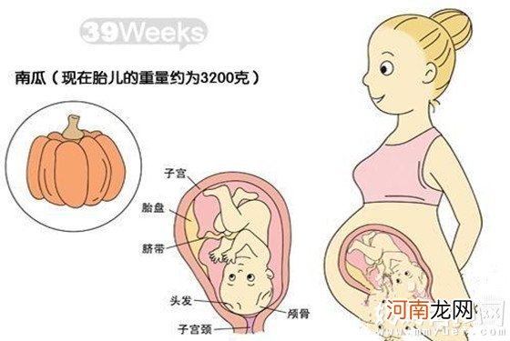 惊呆了 怀孕十个月胎儿发育详图是酱紫滴！