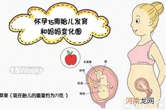 怀孕13-16周胎儿图 解答怀孕四个月胎儿有多大