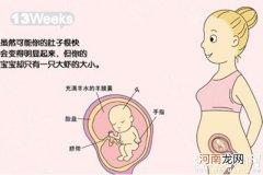 怀孕13-16周胎儿图 解答怀孕四个月胎儿有多大