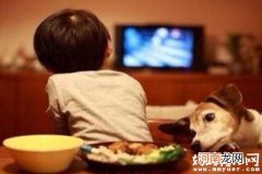 孩子写作业拖拉绝招 专治各种磨蹭的坏毛病